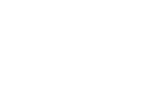 Atomizador Personal 250 cc