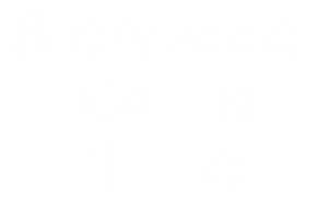 Atomizador Gatillo 1 Litro