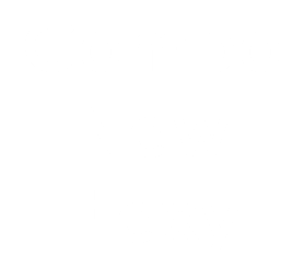 Combo New Flexy